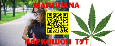крисы Ставрополь