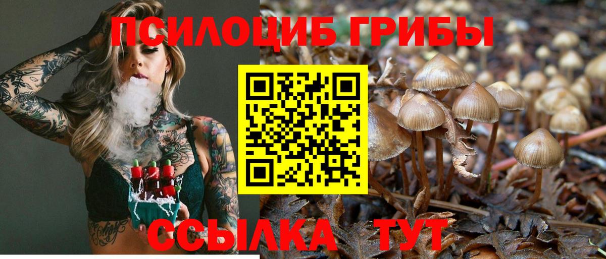 Галлюциногенные грибы ЛСД Новозыбков