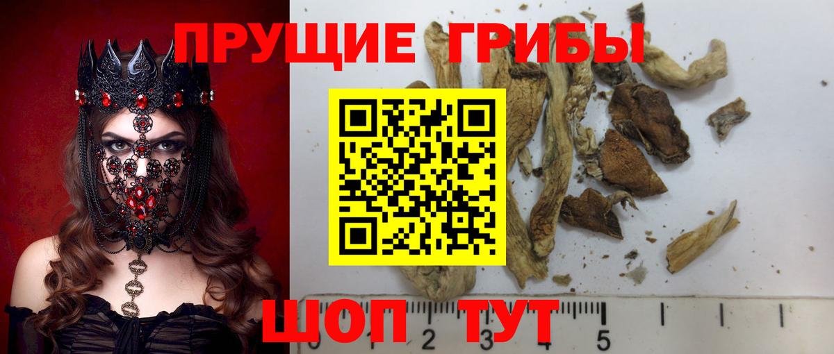 Новозыбков  Галлюциногенные грибы Magic Shrooms  Галлюциногенные грибы прущие грибы  Вход с VPN 