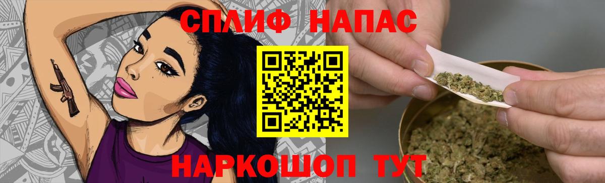 Конопля сатива Новозыбков